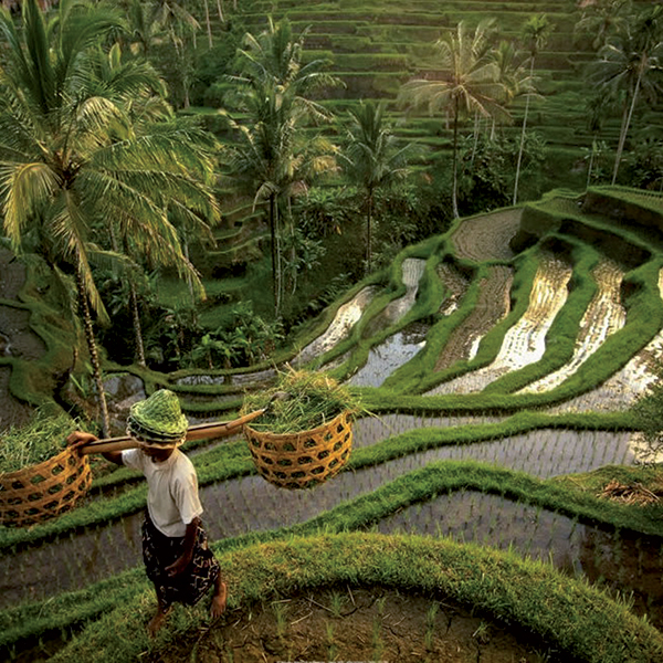 Culture et patrimoine