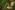 costa-rica-blog-6