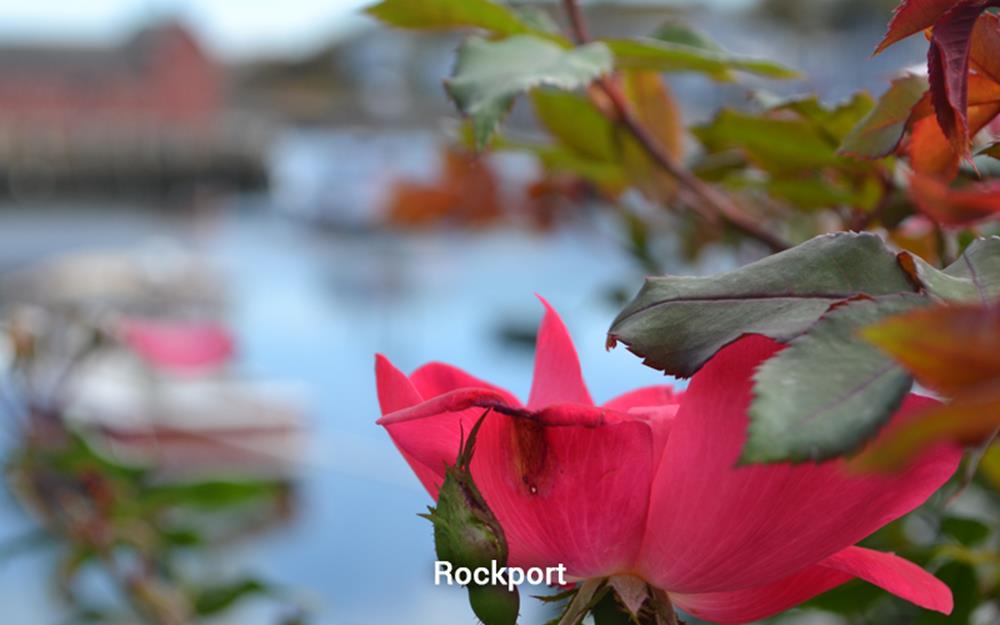 rockport-2-galerie