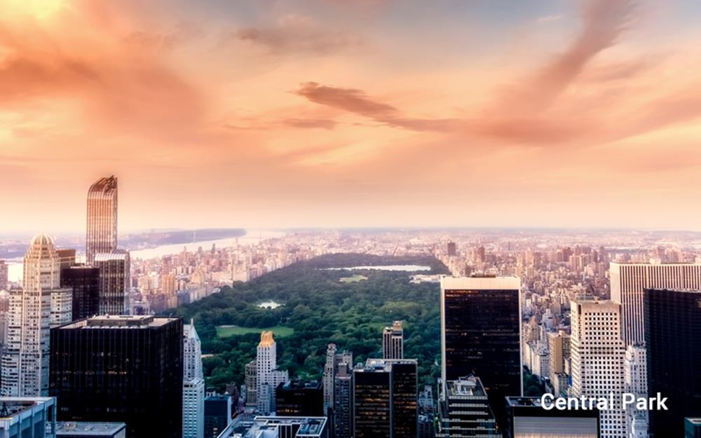 central-park-galerie