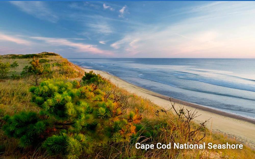national-seashore-galerie