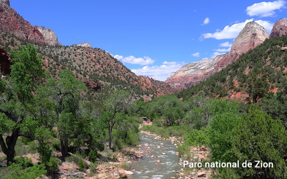 zion-park-galerie