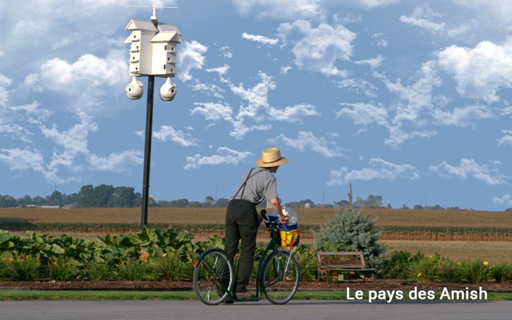 amish-voyage-galerie