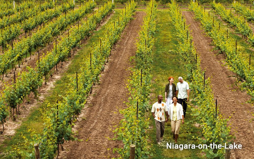 nia-vignoble-galerie