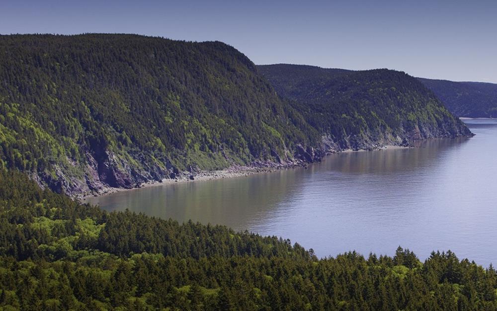 fundy-baie-galerie