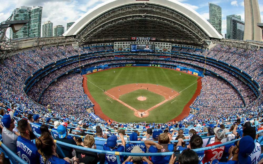 blue-jays-galerie