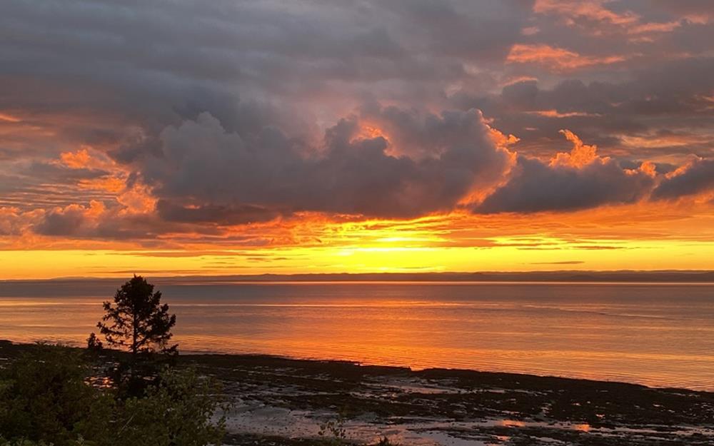 coudres-soleil-galerie