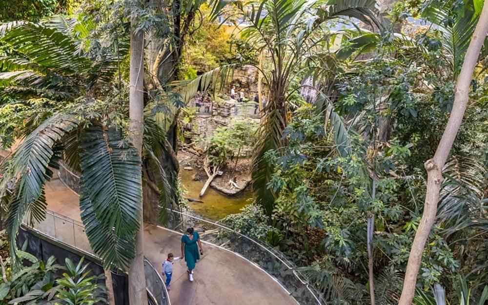 biodome-montreal-galerie