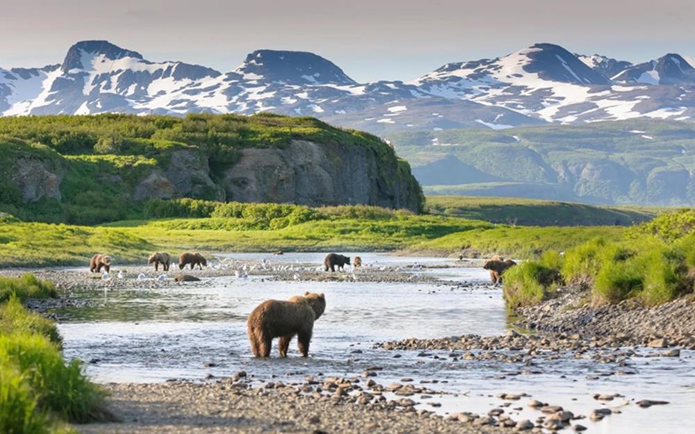 alaska-galerie