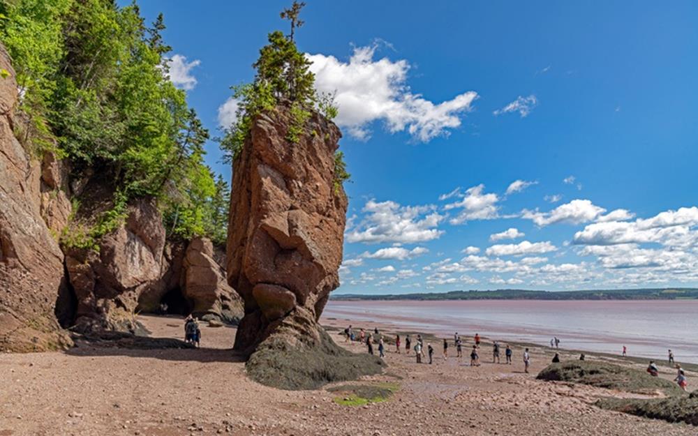 Hopewell-rock-galerie