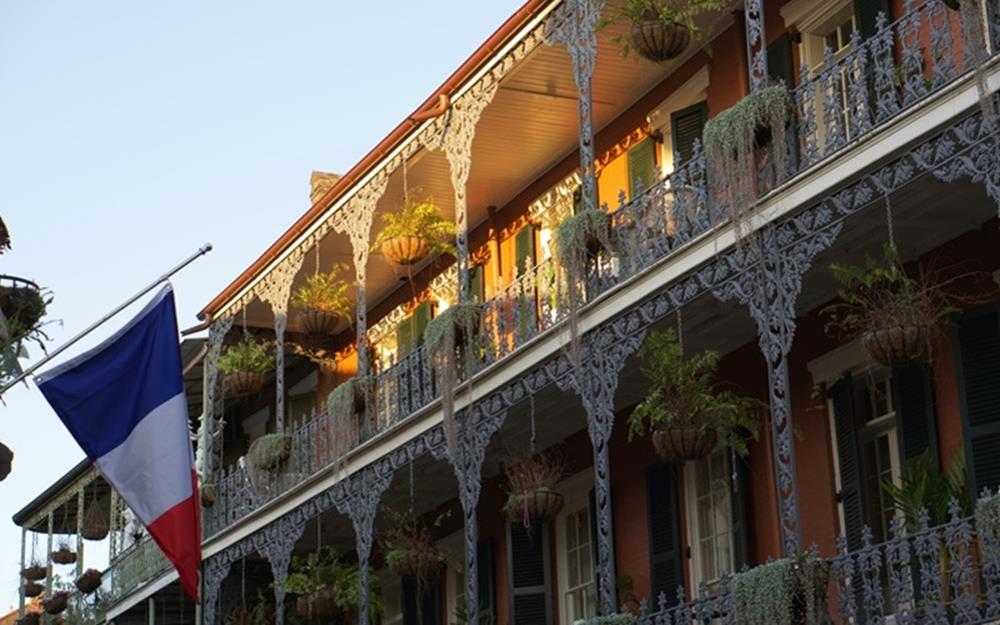 nola-maison-galerie